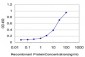 RPS23 Antibody (monoclonal) (M02)